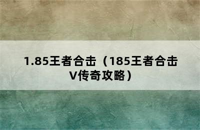 1.85王者合击（185王者合击V传奇攻略）