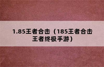 1.85王者合击（185王者合击王者终极手游）