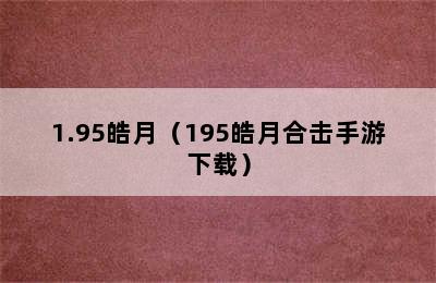 1.95皓月（195皓月合击手游下载）