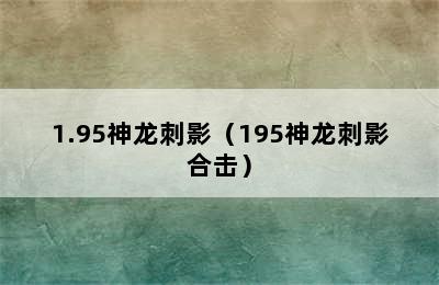 1.95神龙刺影（195神龙刺影合击）