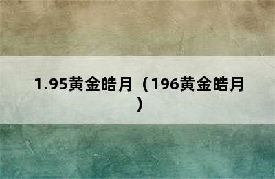 1.95黄金皓月（196黄金皓月）