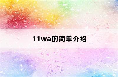 11wa的简单介绍