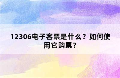 12306电子客票是什么？如何使用它购票？