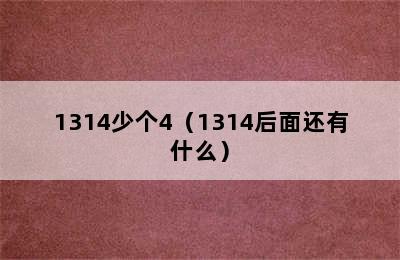 1314少个4（1314后面还有什么）