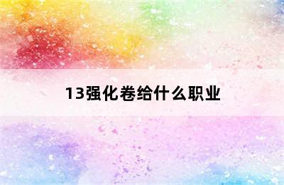 13强化卷给什么职业