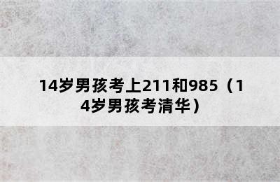 14岁男孩考上211和985（14岁男孩考清华）