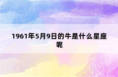 1961年5月9日的牛是什么星座呢