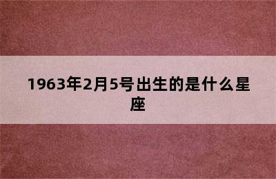 1963年2月5号出生的是什么星座