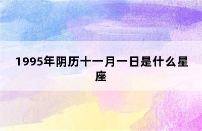 1995年阴历十一月一日是什么星座