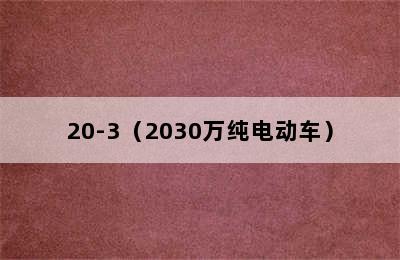 20-3（2030万纯电动车）