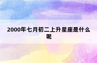 2000年七月初二上升星座是什么呢