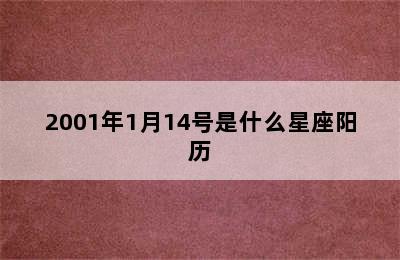 2001年1月14号是什么星座阳历