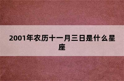 2001年农历十一月三日是什么星座