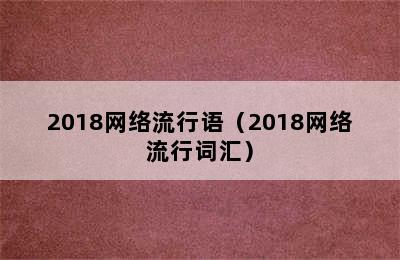 2018网络流行语（2018网络流行词汇）