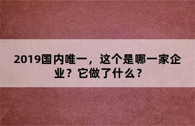 2019国内唯一，这个是哪一家企业？它做了什么？