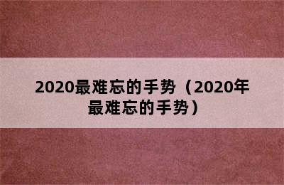 2020最难忘的手势（2020年最难忘的手势）