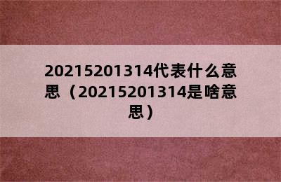 20215201314代表什么意思（20215201314是啥意思）