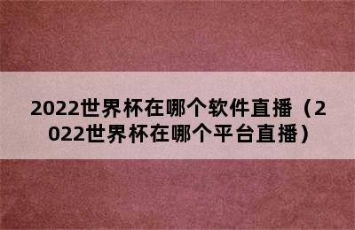 2022世界杯在哪个软件直播（2022世界杯在哪个平台直播）