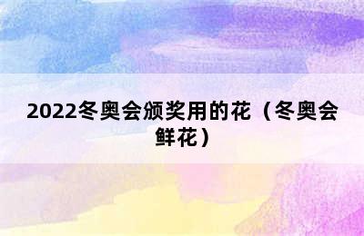 2022冬奥会颁奖用的花（冬奥会鲜花）