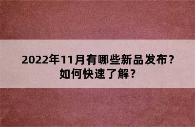 2022年11月有哪些新品发布？如何快速了解？