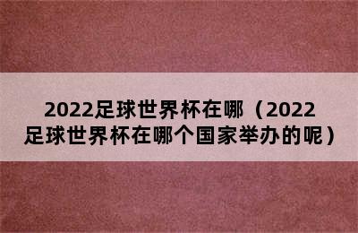 2022足球世界杯在哪（2022足球世界杯在哪个国家举办的呢）