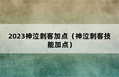 2023神泣刺客加点（神泣刺客技能加点）