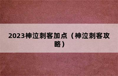 2023神泣刺客加点（神泣刺客攻略）