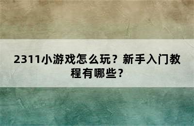 2311小游戏怎么玩？新手入门教程有哪些？