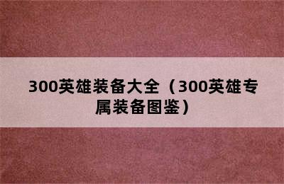 300英雄装备大全（300英雄专属装备图鉴）