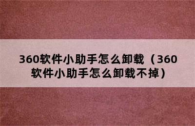 360软件小助手怎么卸载（360软件小助手怎么卸载不掉）