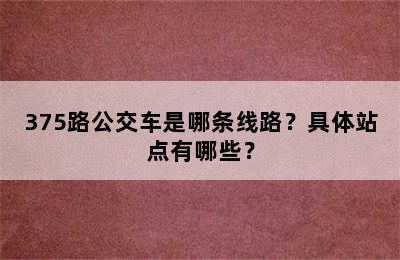 375路公交车是哪条线路？具体站点有哪些？