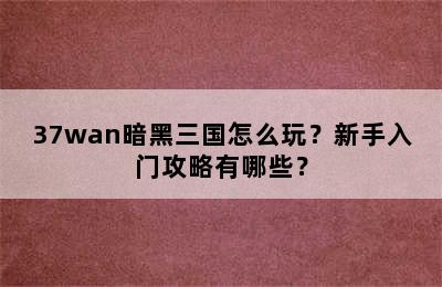 37wan暗黑三国怎么玩？新手入门攻略有哪些？