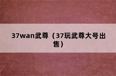 37wan武尊（37玩武尊大号出售）