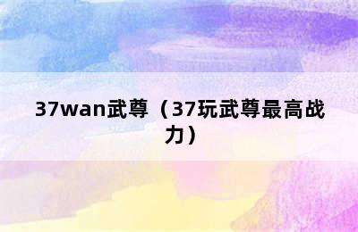 37wan武尊（37玩武尊最高战力）