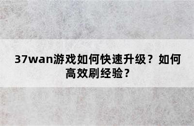 37wan游戏如何快速升级？如何高效刷经验？