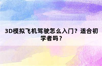 3D模拟飞机驾驶怎么入门？适合初学者吗？