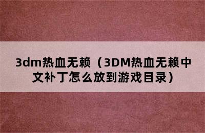 3dm热血无赖（3DM热血无赖中文补丁怎么放到游戏目录）