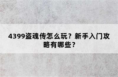 4399盗魂传怎么玩？新手入门攻略有哪些？