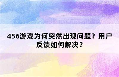 456游戏为何突然出现问题？用户反馈如何解决？