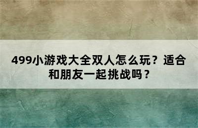 499小游戏大全双人怎么玩？适合和朋友一起挑战吗？