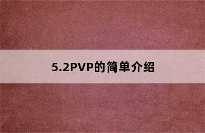 5.2PVP的简单介绍