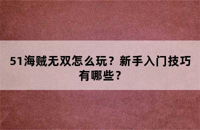 51海贼无双怎么玩？新手入门技巧有哪些？