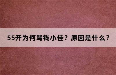 55开为何骂钱小佳？原因是什么？