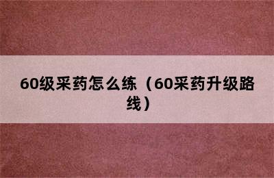 60级采药怎么练（60采药升级路线）