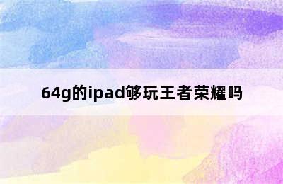 64g的ipad够玩王者荣耀吗