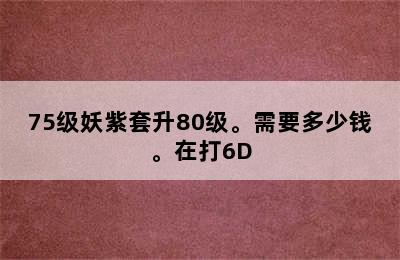 75级妖紫套升80级。需要多少钱。在打6D