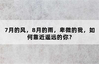 7月的风，8月的雨，卑微的我，如何靠近遥远的你？