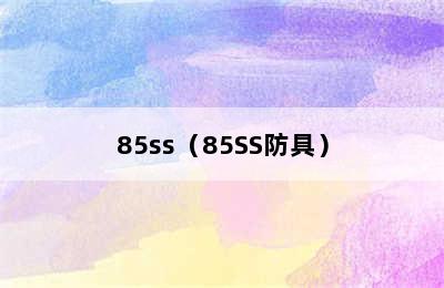 85ss（85SS防具）