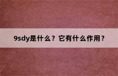 9sdy是什么？它有什么作用？