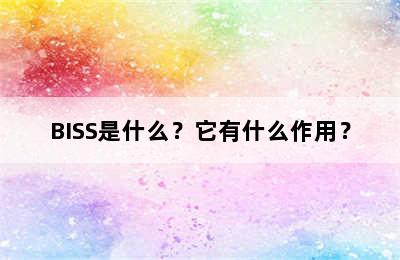 BISS是什么？它有什么作用？